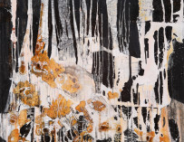 Penler Exhibit Series